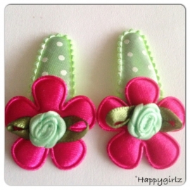 Haarspeldjes:mint/fuchsia..