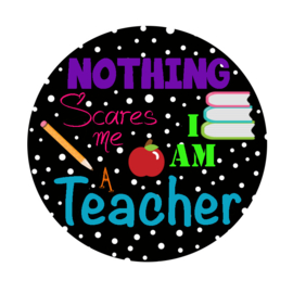 Spiegeltje Nothing scares me I am teacher