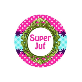 Zakspiegeltje Super juf