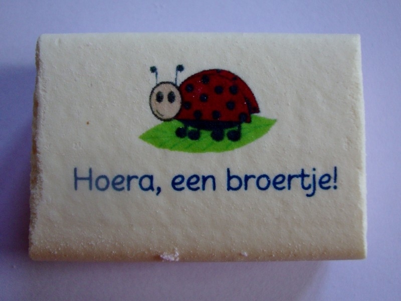 een broertje met een lieveheersbeestje een broertje een broertje met een lieveheersbeestje een broertje