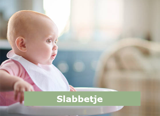 bedrukeenshirt.nl | baby slabbetje bedrukken