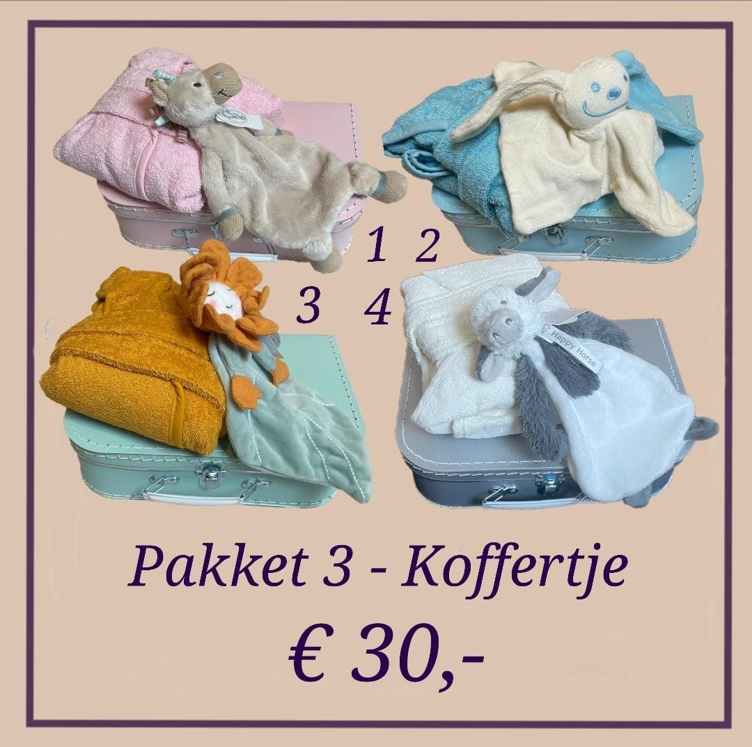 Koffertje
