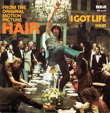 Hair ‎– I Got Life / Hair