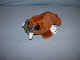 QZ-1339  Dolfinarium kleine walrus