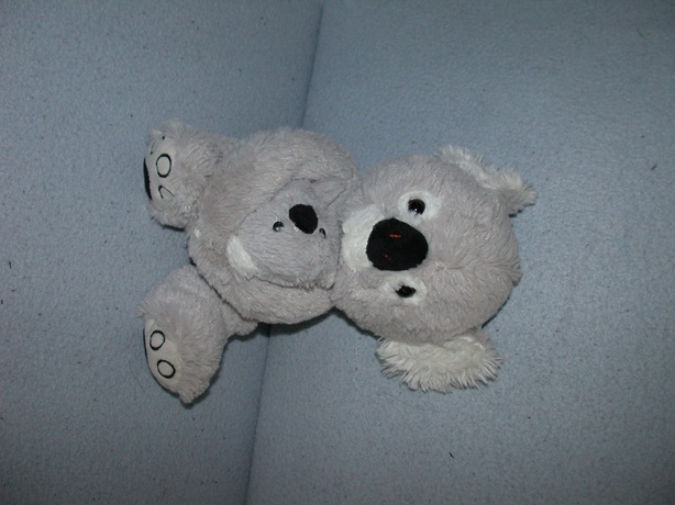 B-2130  Evora koala met kleintje - 28 cm