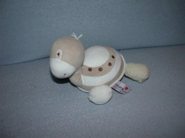 QZ-1034  Prenatal schildpad