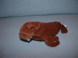 QZ-530  Happy Tails walrus