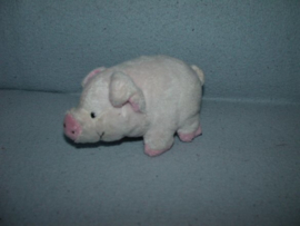 Varkens onbekend