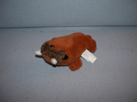 QZ-1339  Dolfinarium kleine walrus