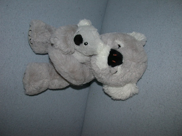 B-2130  Evora koala met kleintje - 28 cm