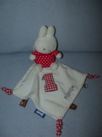 K-804  Tiamo Nijntje met kroeldoekje