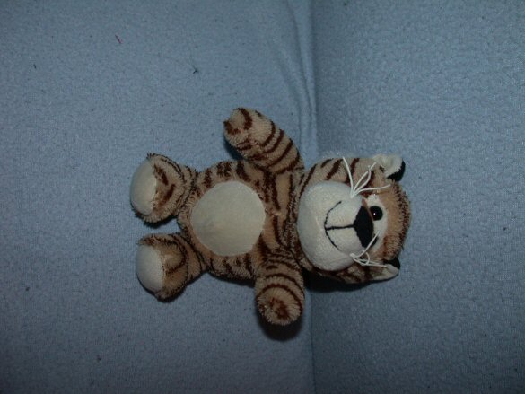 QZ-1016  Best Made Toys tijger - 19 cm