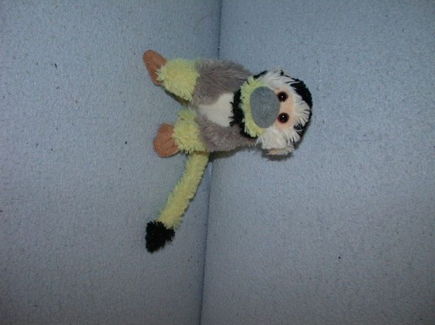 AJ-1622  Apenheul/Petjes World aapje/doodshoofdaapje -  13 cm