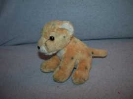 KP-2431  Ravensden/Burger's Zoo luipaard/panter/poema - 13 cm