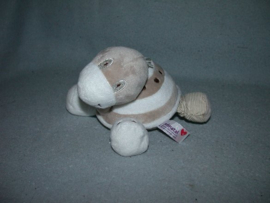 QZ-1034  Prenatal schildpad