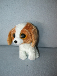 H-864  Onbekend hondje met grote ogen - 15 cm