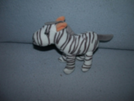 QZ-1331  Hema zebra