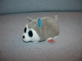 H-1359  Ty Teeny Tys hondje/husky Prince 2017