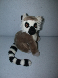AJ-1937  PIA/P.I.A. ringstaartmaki - 20 cm