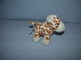 AJ-833  Hema giraffe