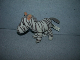 QZ-1331  Hema zebra