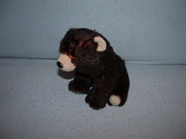 B-2159  Ty Beanie Boo beer Kodi 2021 - 16 cm