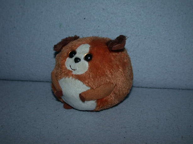 Honden