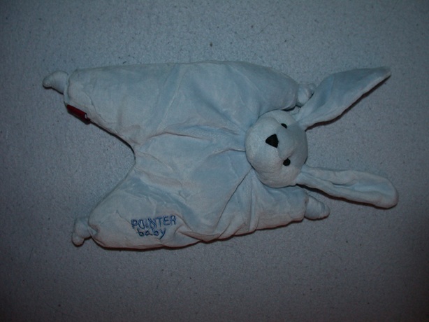 K-125  Pointer Baby tutkonijn