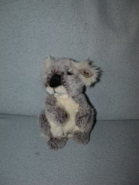 B-1536  WWF/Albert Heijn koala - 16 cm
