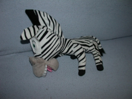 QZ-563  TCC Global/Madagascar zebra Marty