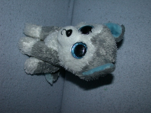 H-1227  Ty Beanie Boo hond/Husky Slush 2018 - 15 cm