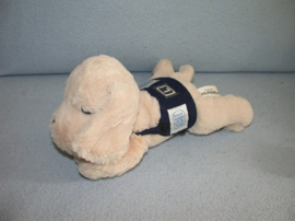 H-884  XL Concepts hond Hulphond Flip groot - 22 cm