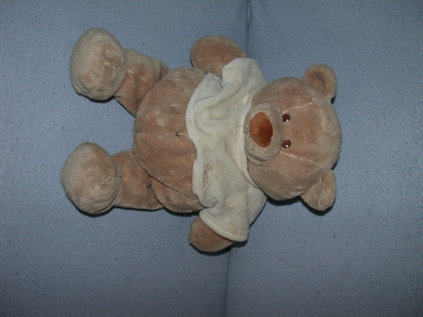 B-350  Tiamo beer Bruno met truitje - 36 cm