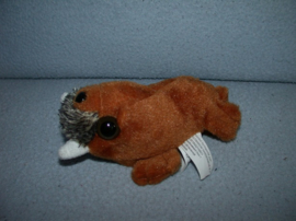 QZ-1339  Dolfinarium kleine walrus