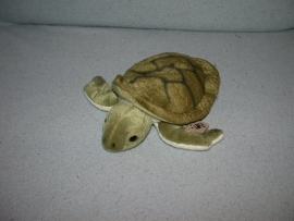 QZ-871  WWF/Albert Heijn schildpad