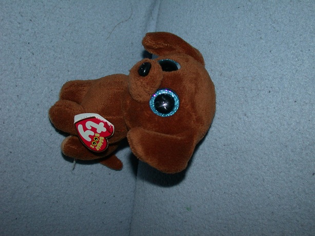 H-1235  Gloednieuw! Ty Beanie Boo hondje/tekkel Dougie 2016 - 16 cm