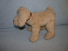 H-1410 Onbekende hond/terriër - 27 x 20 cm