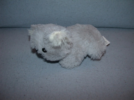 B-2144  ZD Trading/Action koala - 15 cm, geborduurde oogjes