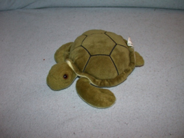 QZ-1525 Albert Heijn/Lumen Loyalty schildpad - 18 cm