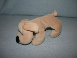 H-537  Happy Horse hond Dog Stanley nr.2  1998 - 21 cm