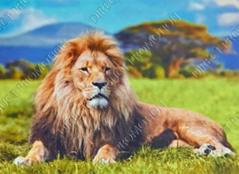 Diamond Painting "Lying Lion"