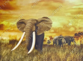 Diamond Painting "Elephants"