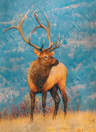 Diamond painting "Red deer "
