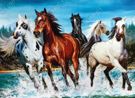 Diamond painting "Herd of horses"