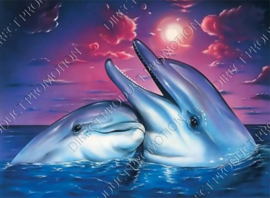 Diamond painting "Two dolphins"
