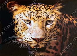 Diamond Painting "leopard head"