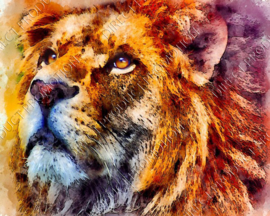 Diamond painting "Painting of a lion"