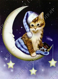Diamond painting "Kitten on the moon"