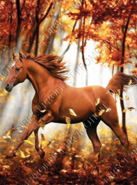 Diamond Painting "Brown horse in the fall"