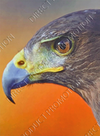 Diamond Painting "Eagle head"